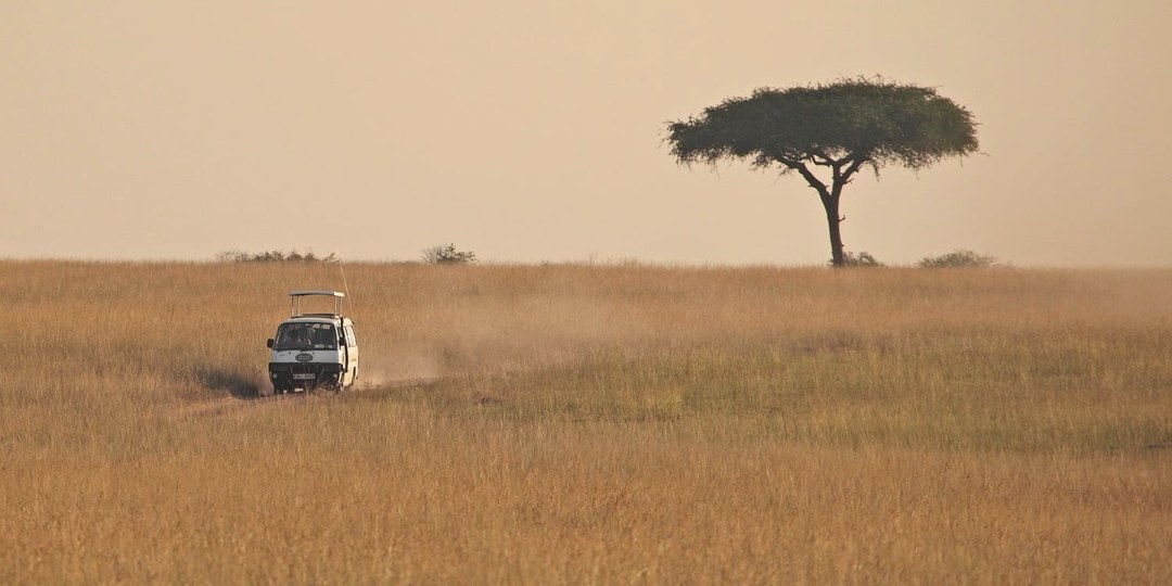 Masai Mara（国家公园 / 保护区 / Safari）-非行家旅行-Africa Wild Wander