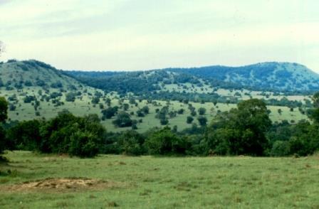 Forests in Kenya（水系 / 湖泊 / 海岸）-非行家旅行-Africa Wild Wander