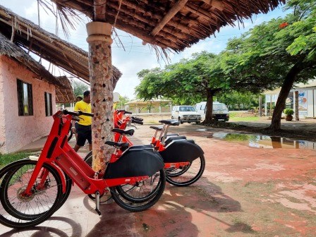 Diani Bikes（海滩 / 岛屿）-非行家旅行-Africa Wild Wander