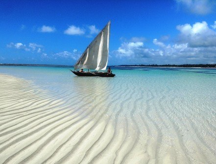 Diani-Chale Marine National Reserve（迪亚尼-查莱海洋国家保护区）-非行家旅行-Africa Wild Wander
