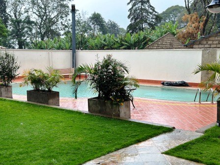 Alba Hotel（住宿休闲 / 城市服务）-非行家旅行-Africa Wild Wander