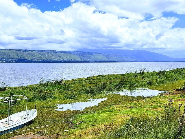 Lake Ol Bolossat（奥尔博洛萨特湖）-非行家旅行-Africa Wild Wander