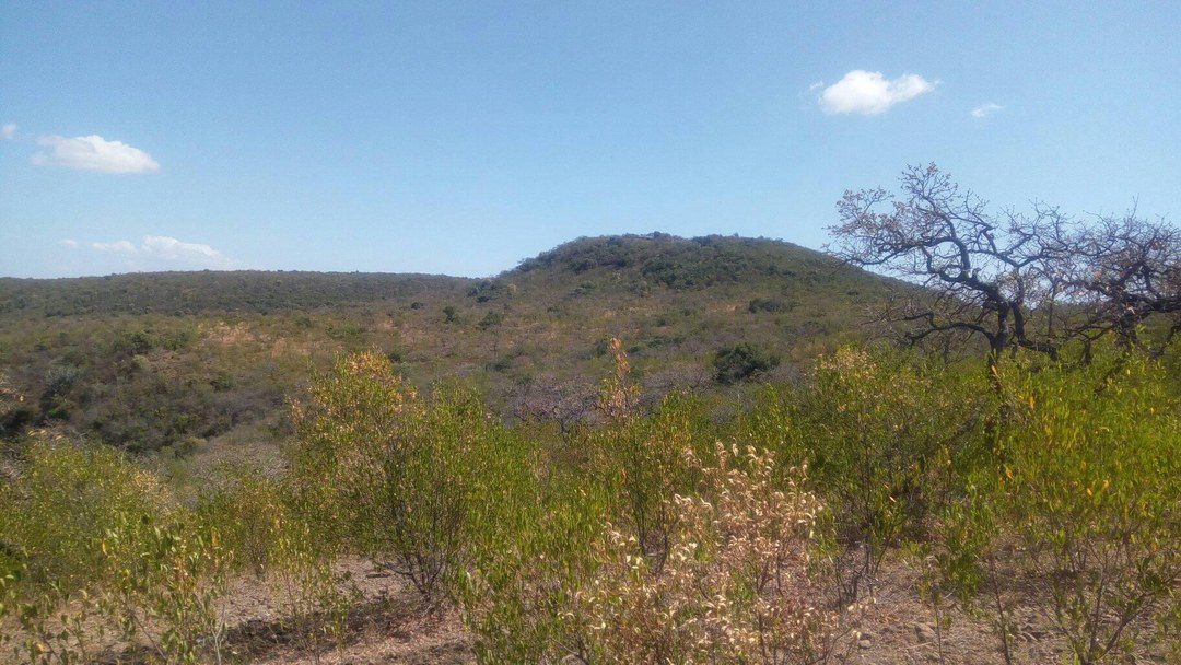 Kaptuya Conservancy-非行家旅行-Africa Wild Wander