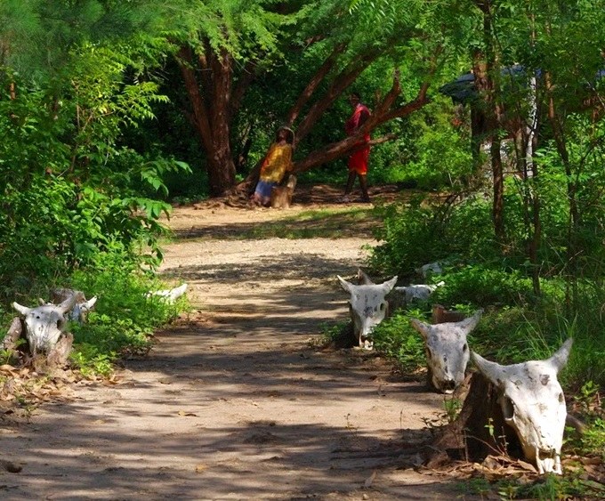 Ngomongo Villages（城市目的地）-非行家旅行-Africa Wild Wander