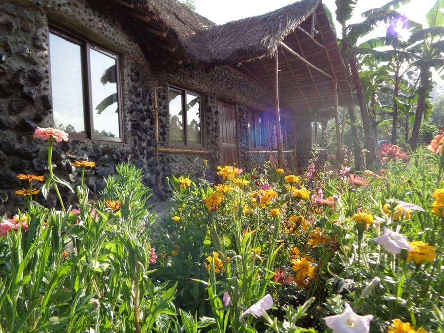 Mount Kenya Retreat（水系 / 湖泊 / 海岸）-非行家旅行-Africa Wild Wander